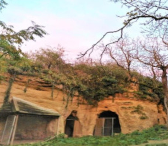 cavev2