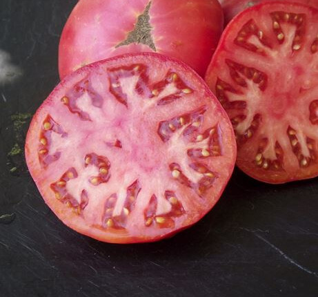 Tomate Brandywine