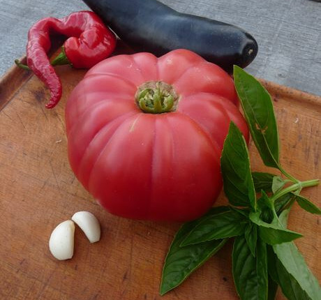 Tomate Orenbourg